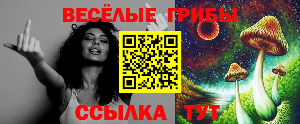 Кострома  Галлюциногенные грибы Psilocybine cubensis  Галлюциногенные грибы ЛСД  Вход с VPN 